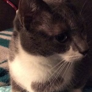 Meet your Posher, Heather